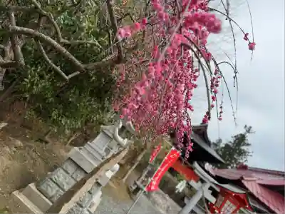 高屋敷稲荷神社(福島県)
