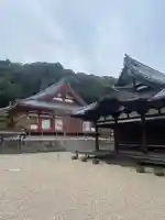 金剛寺(大阪府)