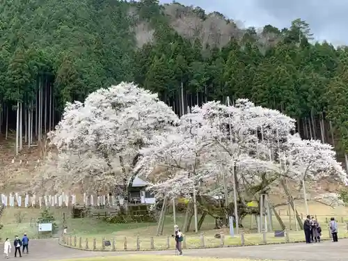 薄墨観音の自然