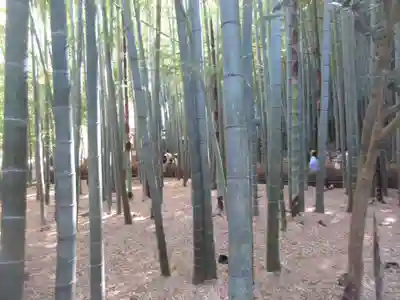 報国寺(神奈川県)