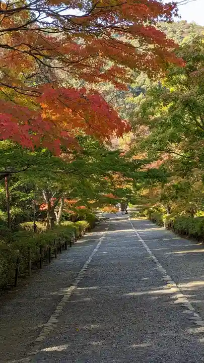 二尊院(京都府)