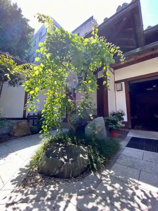 龍雲院(京都府)