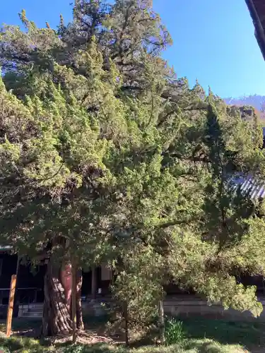 円覚寺(神奈川県)