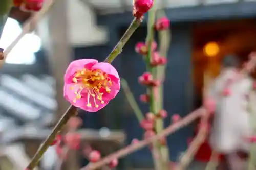 柳澤神社の庭園