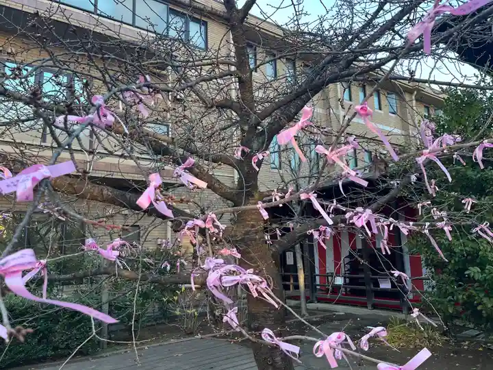 桜神宮(東京都)