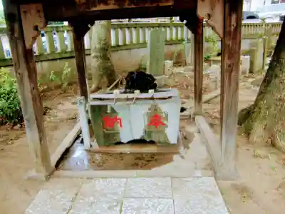 今井神社の手水舎