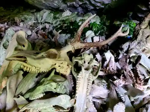 白鹿権現(大分県)