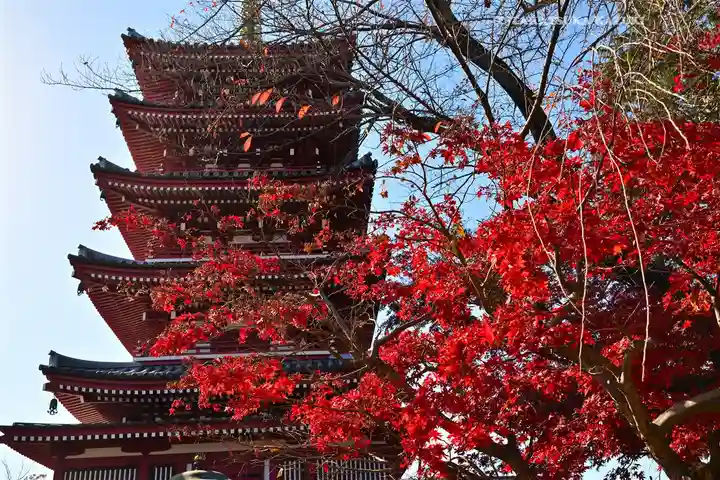 本土寺(千葉県)