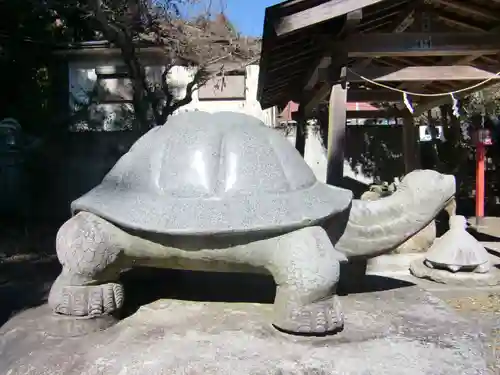 亀岡八幡宮の狛犬