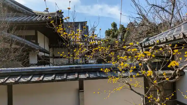 隨心院(随心院)(京都府)