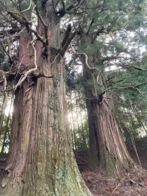 新宮神社の自然