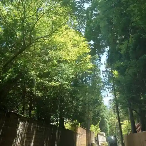 高野山金剛峯寺(和歌山県)