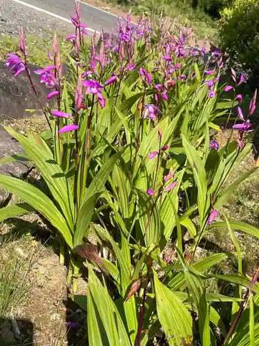 大生郷天満宮の自然