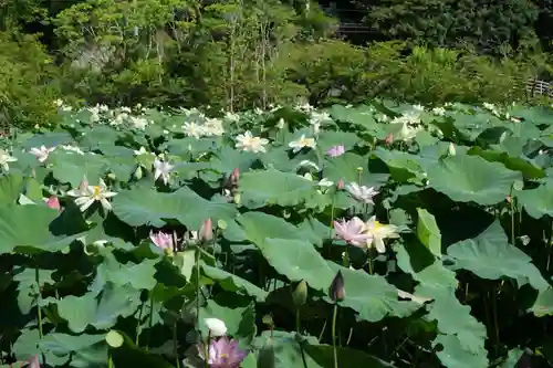 東行庵(山口県)