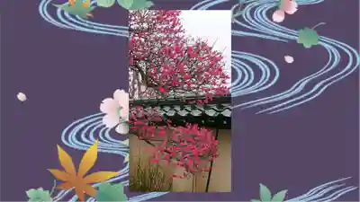 芳林寺(埼玉県)