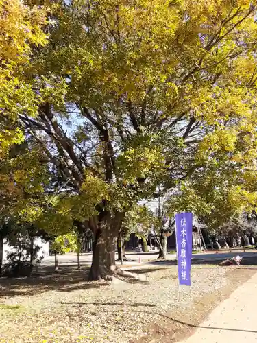 伏木香取神社の自然