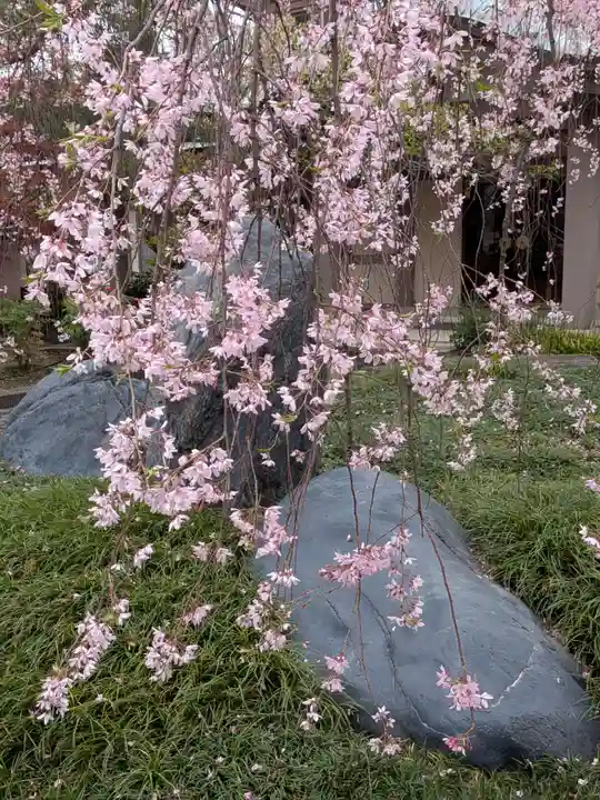 圓照寺(東京都)