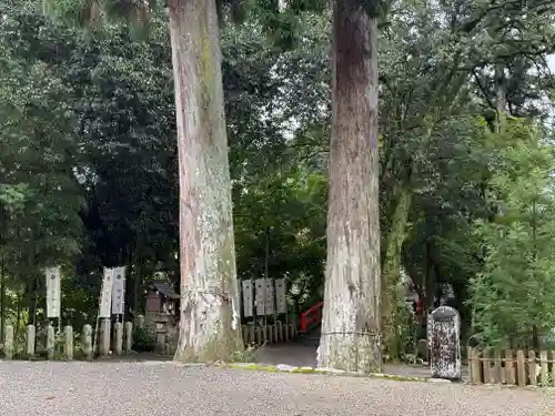 小椋神社(滋賀県)