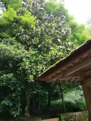 美保神社(島根県)