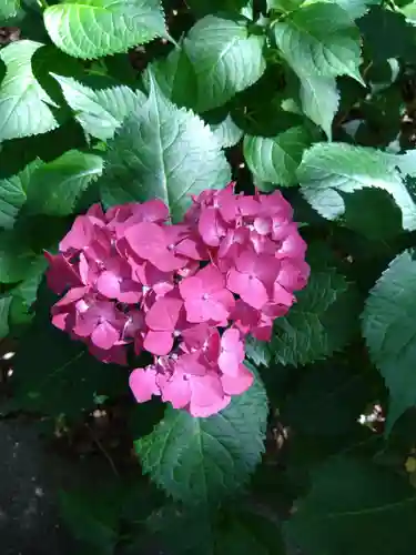 筥崎宮(福岡県)