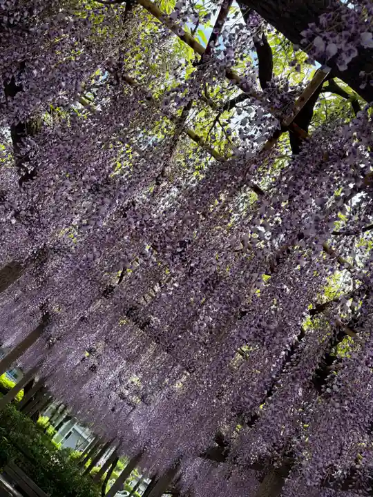 日吉神社(東京都)