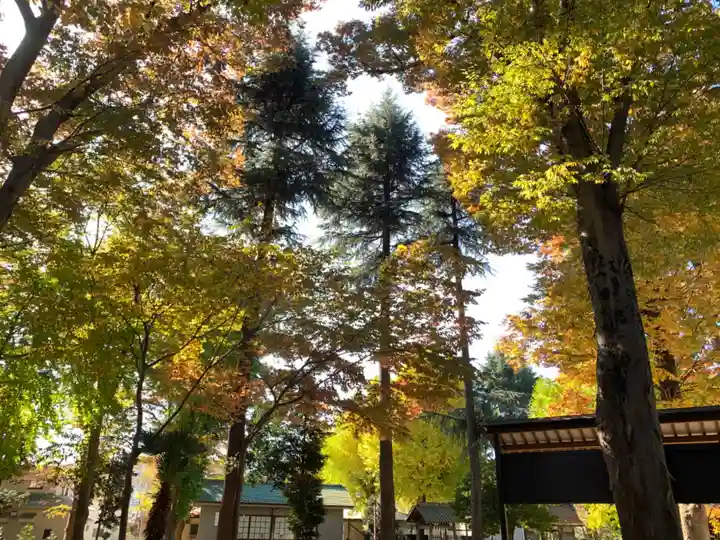 小野神社の自然