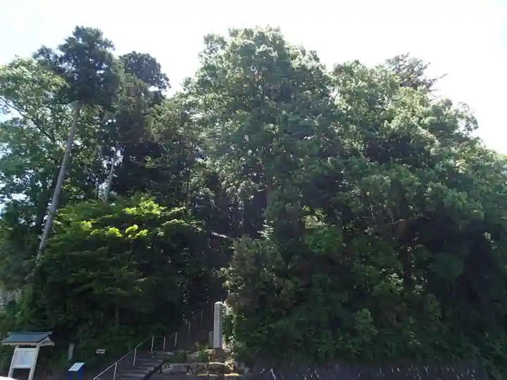 佐々牟志神社の自然