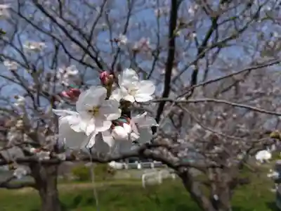 菟足神社(愛知県)