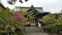 桜神宮の本殿