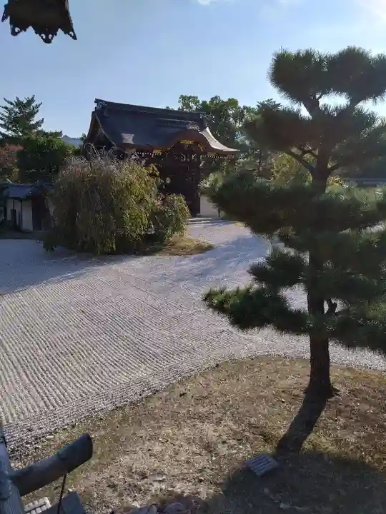 大覚寺(京都府)