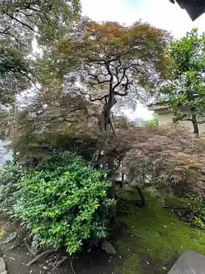 本覺寺(神奈川県)