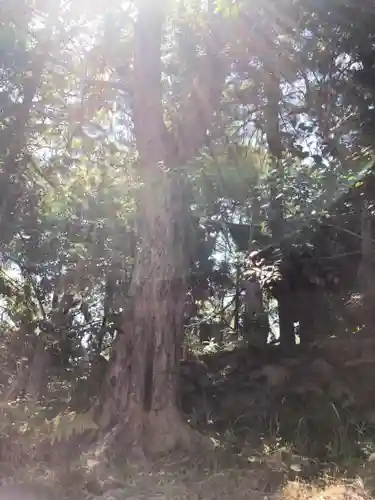 新溝神社のその他建物
