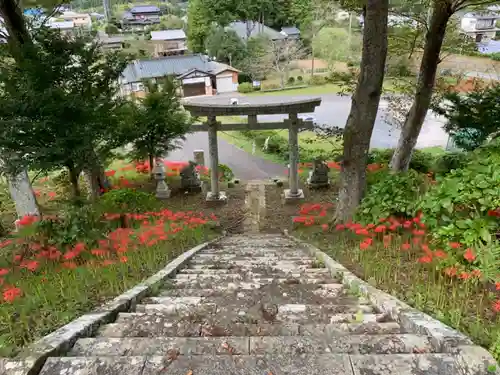 八幡神社の鳥居