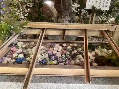 東京大神宮の手水舎