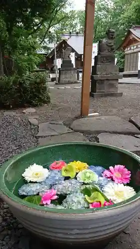 旭川神社の手水