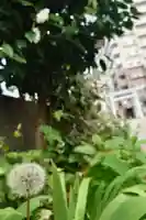 阿邪訶根神社(福島県)