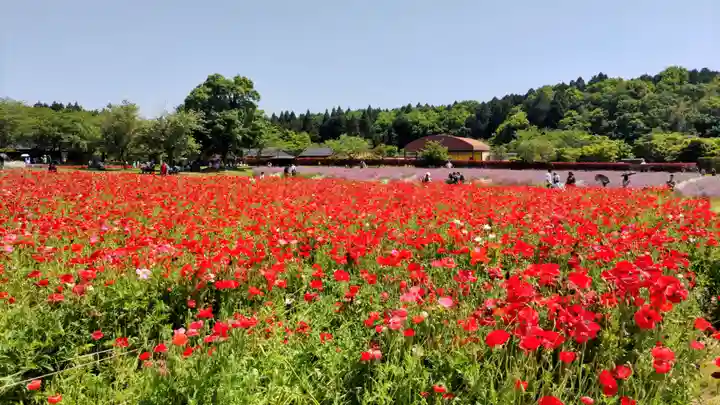 東本願寺本廟 牛久浄苑(牛久大仏)(茨城県)