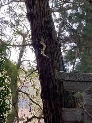 高岡神社(岡山県)