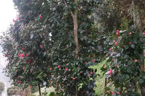 長屋神社の庭園