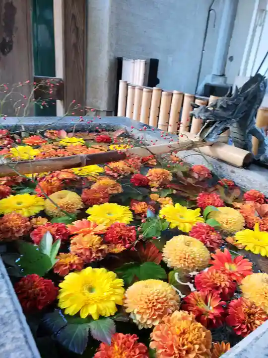 高円寺氷川神社(東京都)