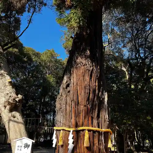 息栖神社(茨城県)