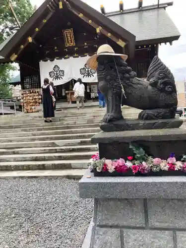 札幌諏訪神社の狛犬
