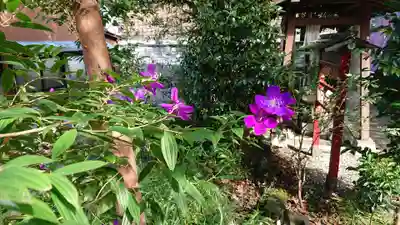 音無神社の自然