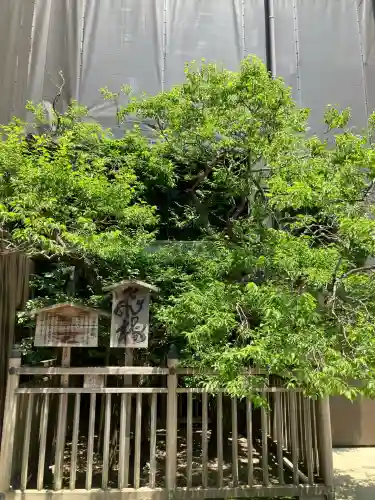 太宰府天満宮の自然