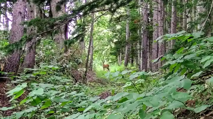 豊岡神社の周辺