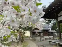 金神社(滋賀県)