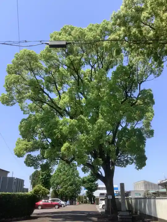 泰岳寺(愛知県)