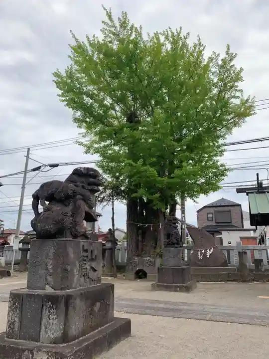 行徳神明神社(豊受神社)(千葉県)