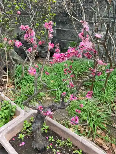 法徳寺の{uncategorized: "未分類", other: "その他", undefined: "問題あり", building: "その他建物", grave: "お墓", sacred_gate: "鳥居", guardian: "狛犬", statue: "像", buddha: "仏像", history: "歴史", nature: "自然", garden: "庭園", animal: "動物", pagoda: "塔", temizu: "手水舎", mountain_gate: "山門・神門", sanctuary: "本殿・本堂", subordinate: "末社・摂社", art: "芸術", scenery: "景色", jizo: "地蔵", ema: "絵馬", goshuin: "御朱印", omikuji: "おみくじ", items: "授与品その他", amulet: "お守り", goshuincho: "御朱印帳", eats: "食事", festival: "お祭り", votive_dance: "神楽", shichigosan: "七五三参", wedding: "結婚式", experience: "体験その他", initially: "初詣", around: "周辺", anti_infection: "感染症対策"}
