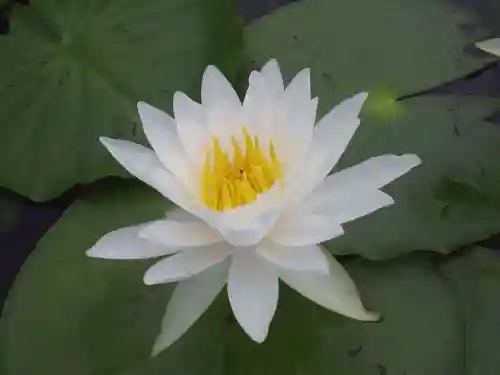 常盤神社(山口県)